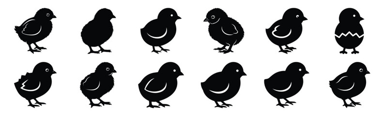 Easter easter chick Silhouette vector icon set. Easter vector icons on white background and Vector illustration. © KartikChandro