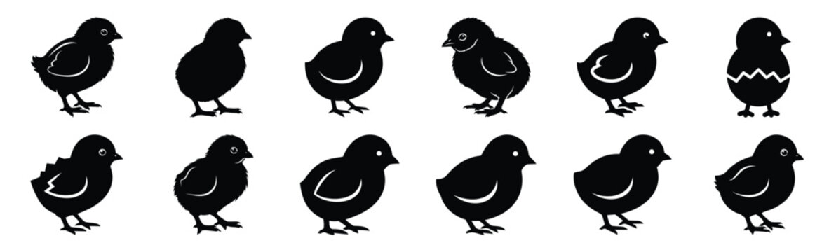 Easter easter chick Silhouette vector icon set. Easter vector icons on white background and Vector illustration.