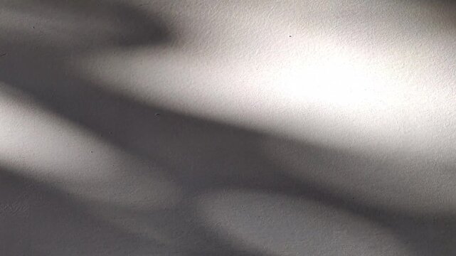 Abstract shadow of tree leaves swaying on white concrete wall texture. Natural sunlight dappled light background video. Aesthetic nature shadow overlay. Sun cast leaf pattern on blank wall copy space.
