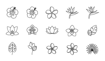 Tropical Flower Lineal Icon Set   Editable Stroke Vector Icons Collection © Shukimon