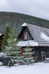 Cicmany traditional wooden house in winter snow © Richard Semik