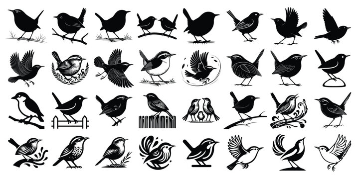 Wren Bird Silhouette Set in Various Poses, Flying and Perching Songbirds Vector Collection