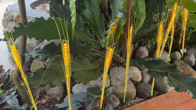4k footage of unique corn looking lamp with straws as a garden lighting with bushes, planters, cobblestones, and wooden bench. Unique cozy corner dry garden. Nature photography.