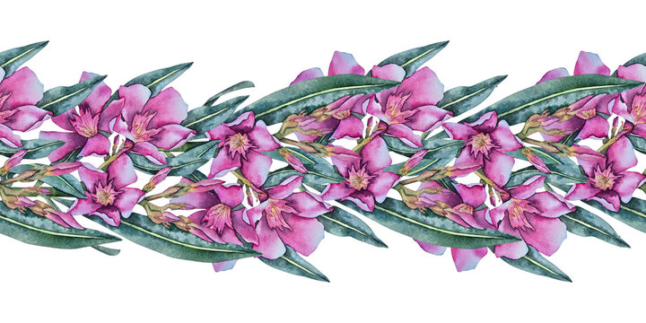 Watercolor seamless border with pink oleander flowers and long dark green leaves. Illustration for packaging, textile, cosmetics, and greeting card design.