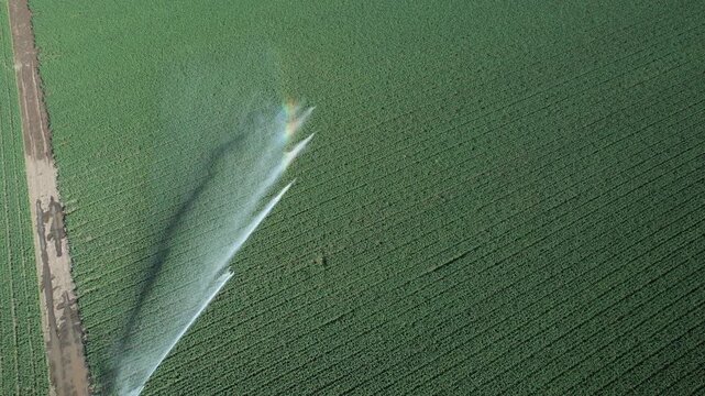 Aerial view of a rotary sprinkler irrigating a vast alfalfa field with a rainbow effect