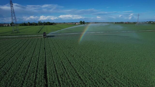 Overhead view of rotary sprinkler irrigating alfalfa field with rainbow effect