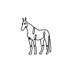 Obraz premium Minimalist Horse Line Art
