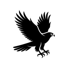 Obraz premium eagle in the form of an eagle