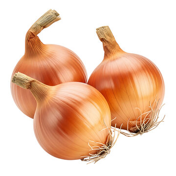 Three whole yellow onions with roots and stems.