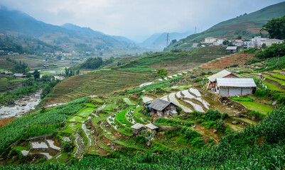 Terraced rice fields in the rugged mountains of Northwest Vietnam. © Phuong