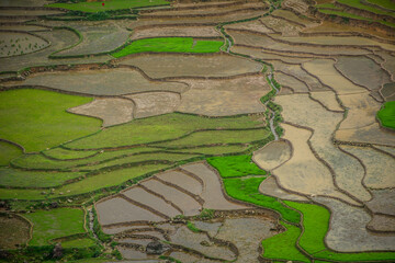 Terraced rice fields in the rugged mountains of Northwest Vietnam.