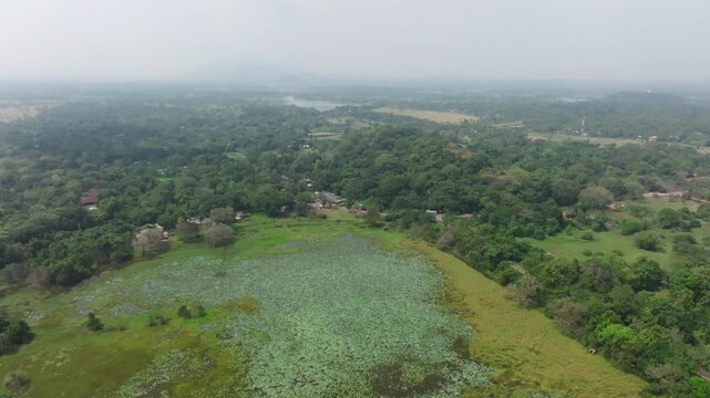 Sri Lanka drone panorama over wetlands and tropical forest, capturing floating vegetation patterns and a distant rural landscape.