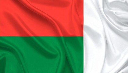 Obraz premium flag of Madagascar