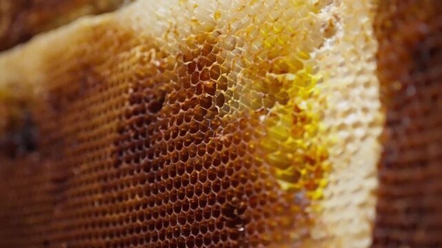 Macro close-up of beeswax honeycomb revealing densely packed hexagonal cells, amber tones, and intricate texture, highlighting geometric symmetry inside an active beehive.
