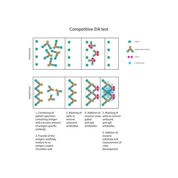 Competitive EIA test diagram showing antigen&ndash;antibody competition, enzyme-linked detection, positive and negative results, and inverse color&ndash;antigen relationship