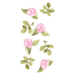 Soft pink rose watercolor clipart. It features floral in a watercolor style. Ideal for creating feminine, aesthetic prints, invitations, cards, packaging, branding, web sites, social media etc.