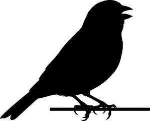 Obraz premium Bird singing on wire silhouette avian nature illustration songbird vector graphic side view