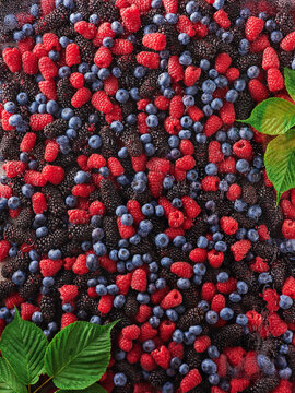 Berries are arranged neatly on a table at a market. Different types include blackberries, raspberries, and blueberries. Customers browse through the colorful selection