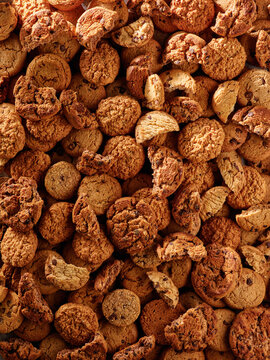 A variety of cookies are placed close together on a flat surface. You can see small chocolate chip cookies, oatmeal cookies, and crunchy types all mixed