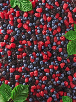 Berries are spread out on a table with green leaves around them. Raspberries, blueberries, and blackberries are mixed together. The scene shows the fruits ready for sale or consumption