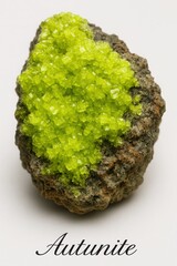 Museum style autunite sample displaying fluorescent yellow green crystal crust