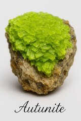 Encyclopedic geology photo of autunite showing secondary uranium mineral growth