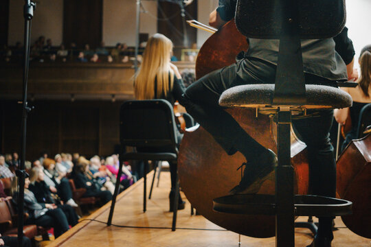 Double bass player of the symphony orchestra on the chair