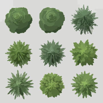 3D Fir Spruce Pine Tree Shapes Cutout Vector Set for Landscape Architecture