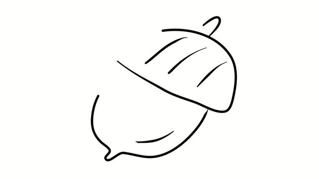 Acorn, oak. Contour drawing, silhouett animation. Video 4k object illustration self-drawing. Minimalist continuous line drawing silhouette on a white background new