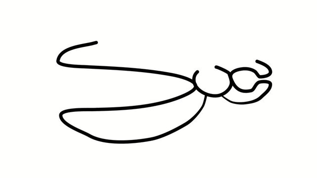 Pliers, tool, metalworking, repair, workshop. Contour drawing, silhouett animation. Video 4k object illustration self-drawing. Minimalist continuous line drawing silhouette on a white background new