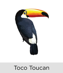 Fototapeta premium Toco Toucan Bird - Tropical Wildlife Vector EPS