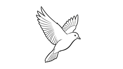 Obraz premium Flying White Bird in Air.