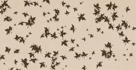 Fototapeta premium tiles decor and leaf wallpaper