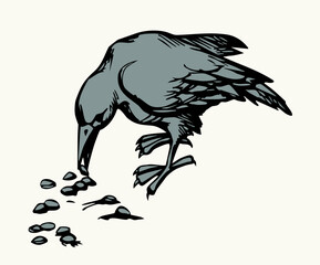 Obraz premium Vector drawing. Old big crow