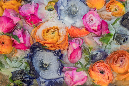 frozen floral art with vibrant anemone, rose and ranuculus flowers encased in ice and milk