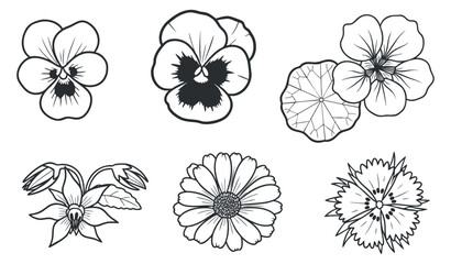 A collection of six flower illustrations including pansies, daisies, and other blossoms in black and white outline style, perfect for botanical design projects