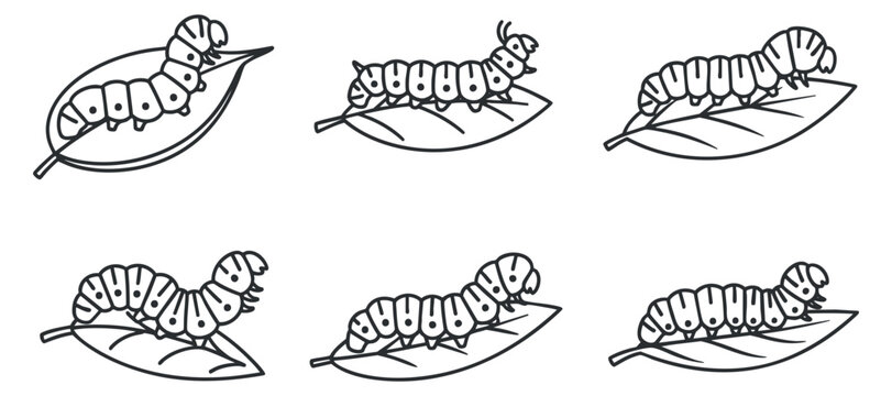 A collection of six cute caterpillars on leaves in black and white outline vector style, perfect for educational materials