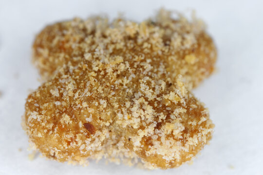 Mites of Acaridae family feeding on dog food. Pests of food supplies.