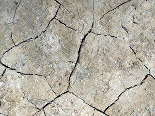 Obraz premium cracked dry soil texture caused by drought