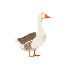 Obraz premium Geese in Flight and Park Scene