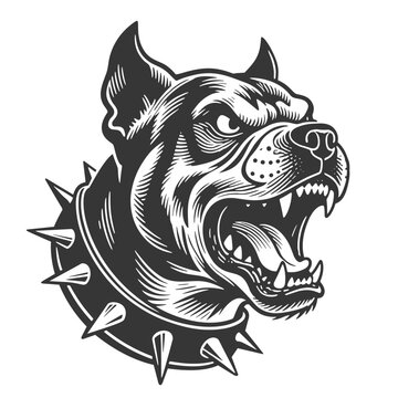 Fierce Snarling Pitbull Head with Spiked Collar, Vintage Black and White Vector Illustration