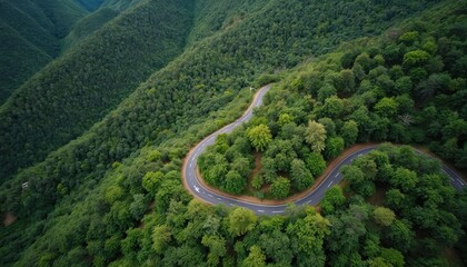 Obraz premium Winding road cuts through dense green forest on mountain slope. Aerial view shows lush trees and clear blue sky. Scenic drive through natural landscape.