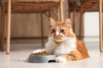 Cute cat lying near bowl with dry food at home © Pixel-Shot