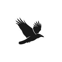 Obraz premium Black bird flying in air.