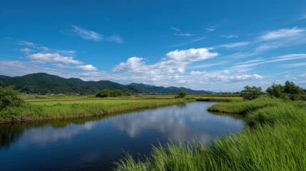 Tranquil Still Water Reflecting Blue Sky and Green Agricultural Landscape
