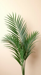 Fototapeta premium Fresh Palm Leaves Symbolizing Lent and Palm Sunday Spiritual Purity