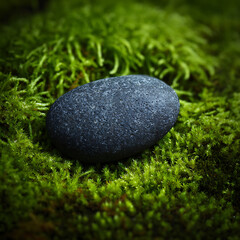 Smooth dark zen stone resting on a bed of vibrant green moss, illuminated by soft natural light for a peaceful spa and wellness concept.