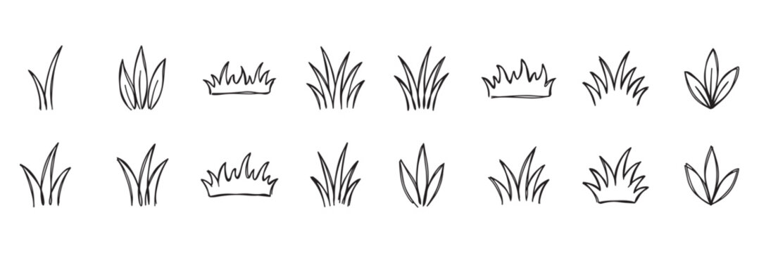 Grass line icon, meadow and flower doodle outline design, bush tuft, small lawn, green sketch plant isolated on white background. Thicket hand drawn border. Floral scribble vector illustration