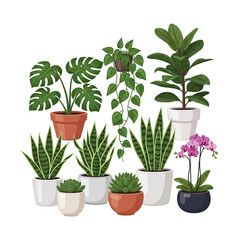 Obraz premium A collection of various potted plants and flowers on a white background in white background.