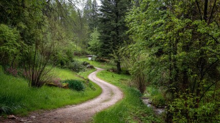 Fototapeta premium Serene Pathway Through Lush Green Forest with Vibrant Foliage and Peaceful Atmosphere Inviting Exploration and Connection to Nature
